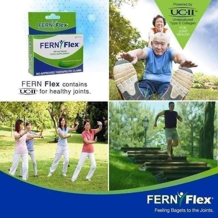 men taking the steps down and grand mother with his wife exercising and group of older people in the park doing Taiji with picture of Fern-Flex 