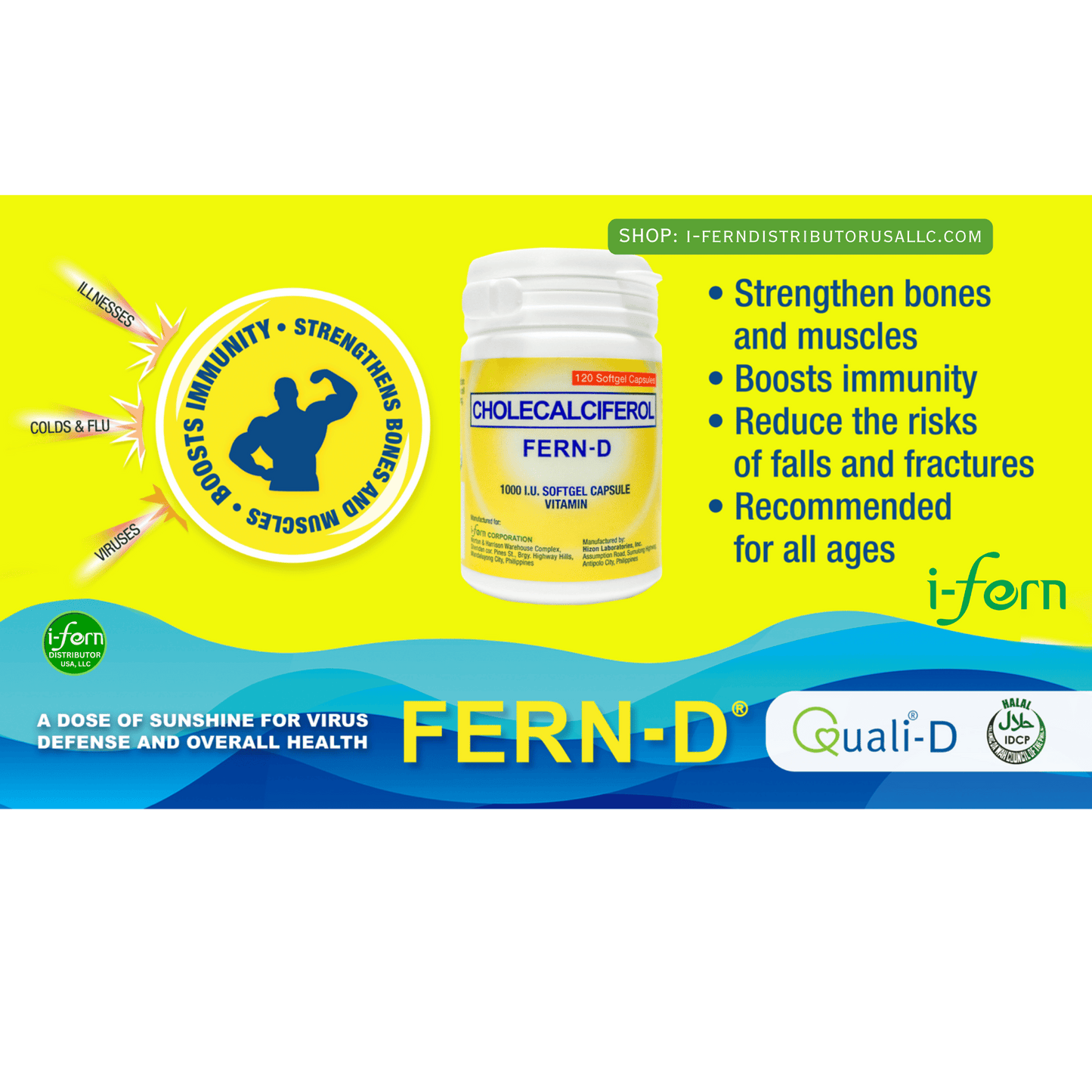 FERN-D supplement bottle with branding and product information on a green and yellow background buy online i-ferndistributorusallc.com