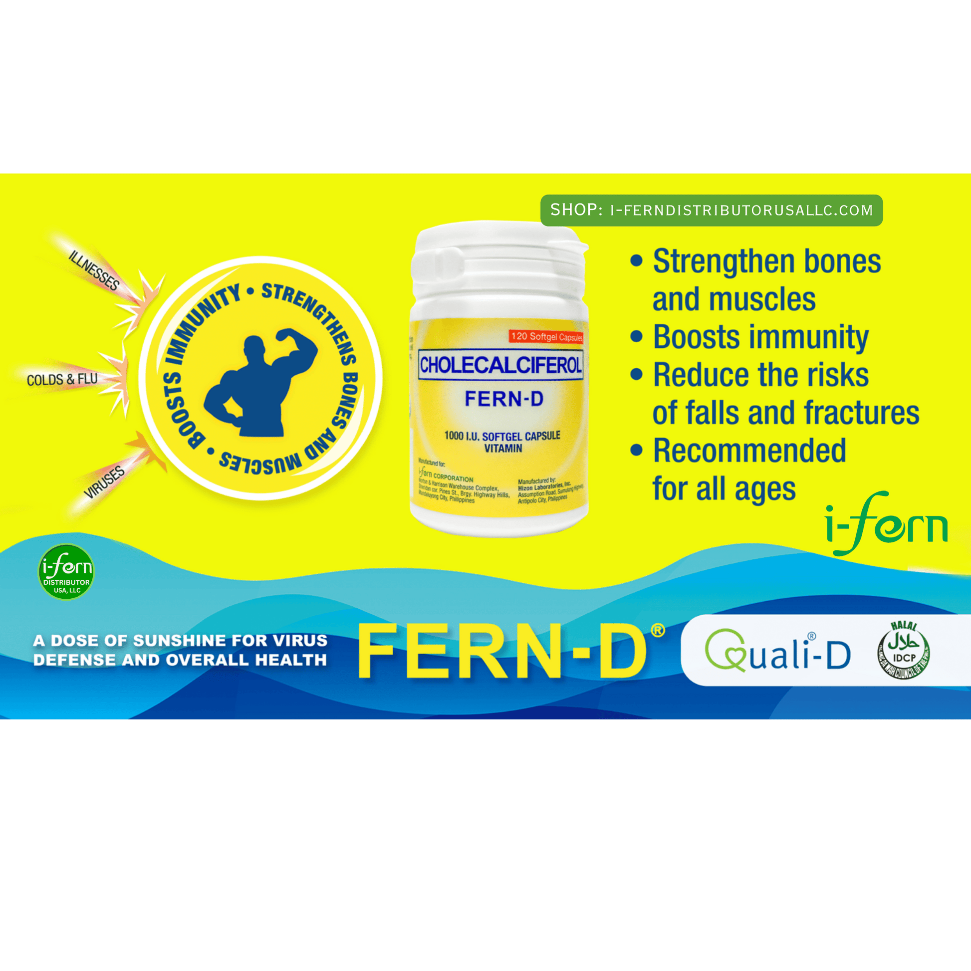 FERN-D supplement bottle with branding and product information on a green and yellow background buy online i-ferndistributorusallc.com