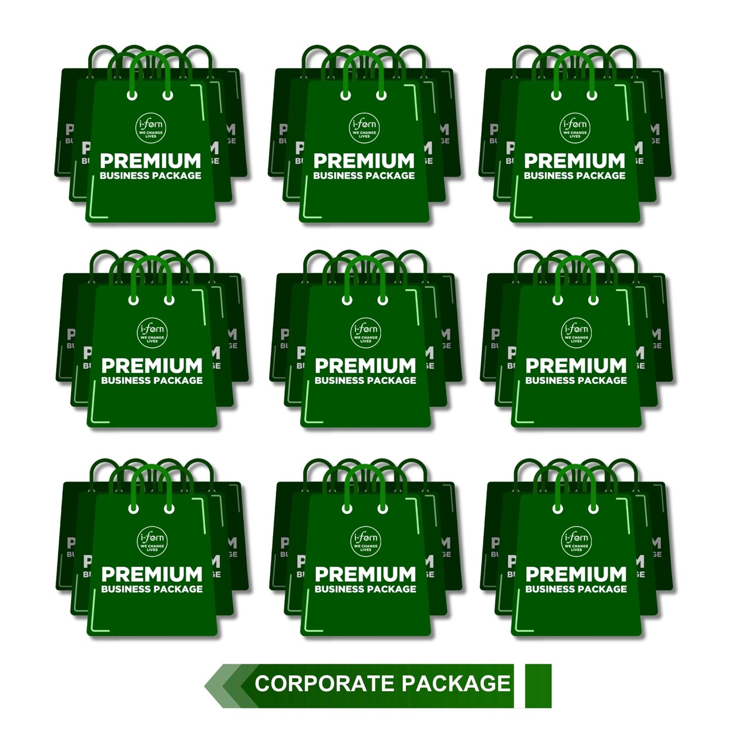 I-Fern Corporate Enterprise Package